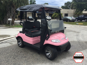 advanced ev 2 passenger golf cart enclosure, cart enclosure