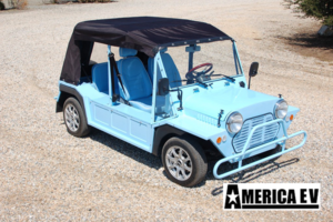 america ev mokee 4 passenger golf cart enclosure, golf cart enclosure