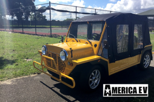 america ev mokee 4 passenger golf cart enclosure, golf cart enclosure